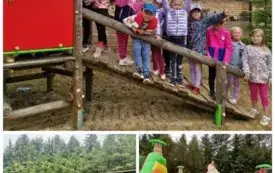 collage_20250616_194625