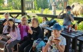 Wycieczka do nadleśnictwa - klasy 3 4
