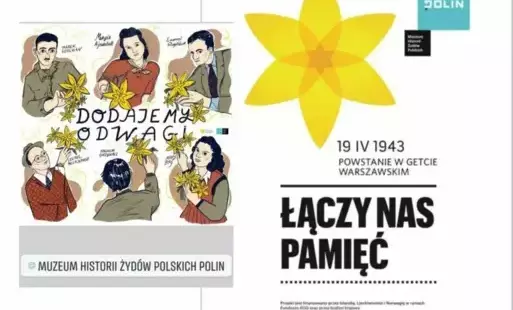 Zdjęcie do Akcja społeczno - edukacyjna Żonkile